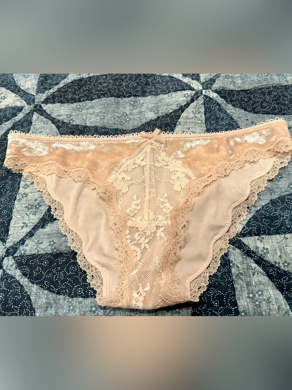 NWOT Victoria’s Secret Crushed Velour and Lace Panty size M